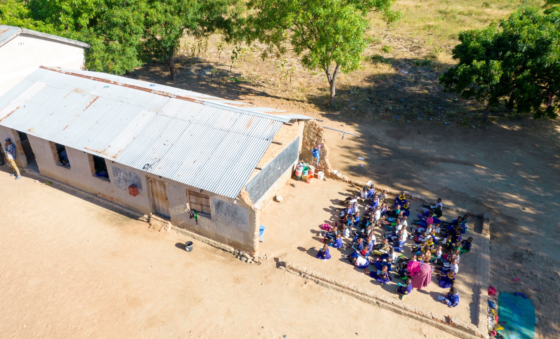 Tree Planting Project
