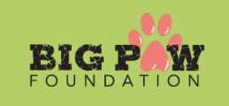 Big Pow Foundation Logo